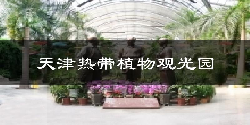 天津热带植物观光园今日天气