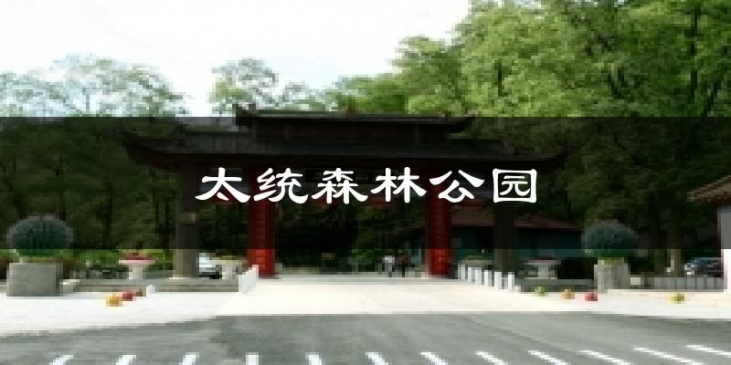 太统森林公园今日天气